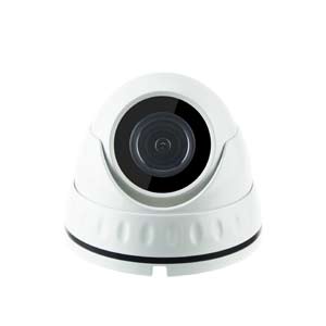 HDTCA5MPFD-W iSENTRY 5MP HD-TVI Eyeball Dome Camera with 20m IR Night Vision #2
